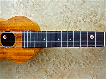 ukulele_FS5G_2.JPG