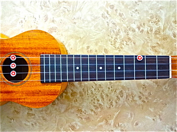 Ukulele_famous_FS5G.JPG