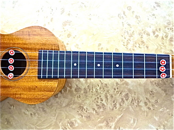 Ukulele_happy1.JPG