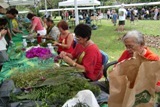 2011 leiday 215.jpg