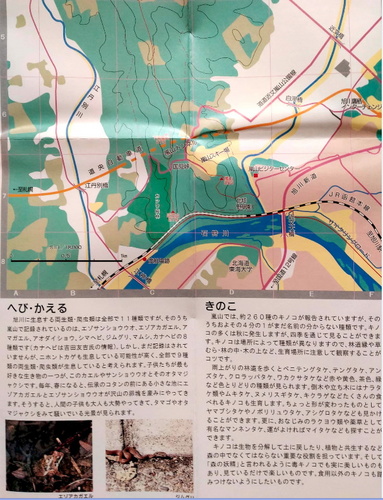 嵐山フィールドマップ1.jpg