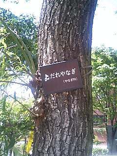 070520_1410~0001.jpg
