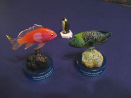 手前左：スミレナガハナダイ♂、右：メガネモチノウオ、奥：おまけのペンギン　「新・えのすい」のショップにて購入。