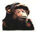 トレンド猿人さんの画像