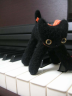 黒猫ハナさんの画像